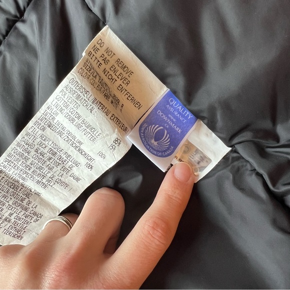 White Canada goose montebello - Picture 10 of 12